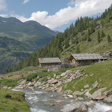 Faltmaralm