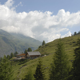 Faltschnalalm