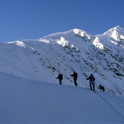 Wanser Alm Winter