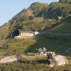 Fleckner Hütte