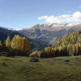 Auf die Pfandler Alm