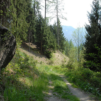 Der Steinhauser Waalweg