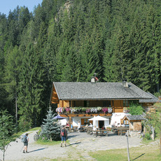 Pfandler Alm