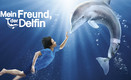 Mein Freund der Delfin