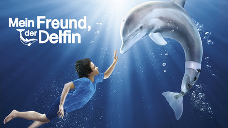 Mein Freund der Delfin