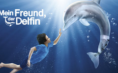 Mein Freund der Delfin