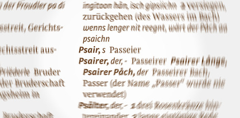 Passeirer Wörterbuch