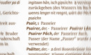Passeirer Wörterbuch